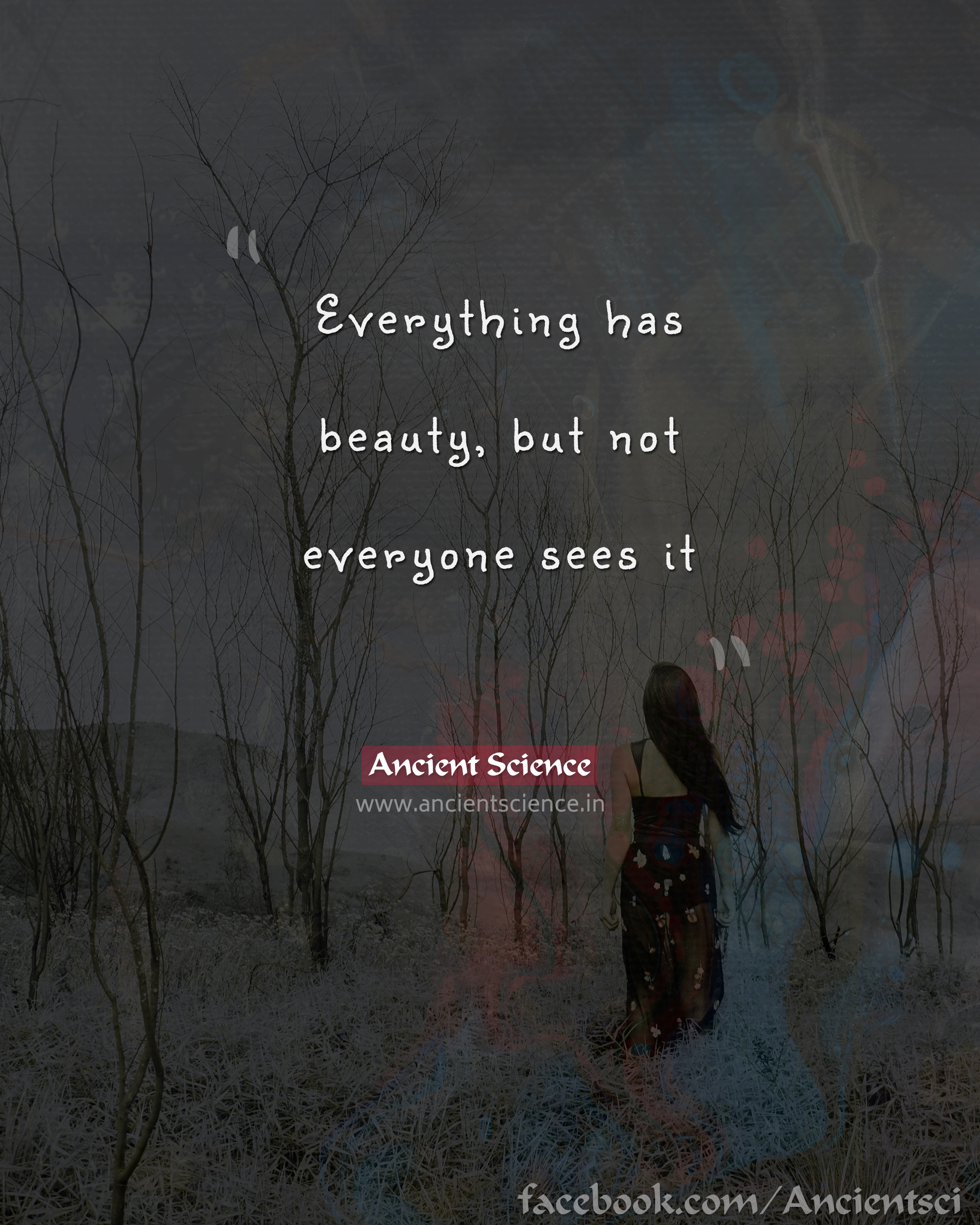 Everything has beauty